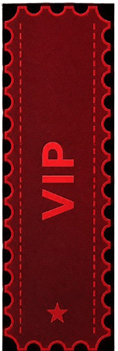 VIP Fight Ticket